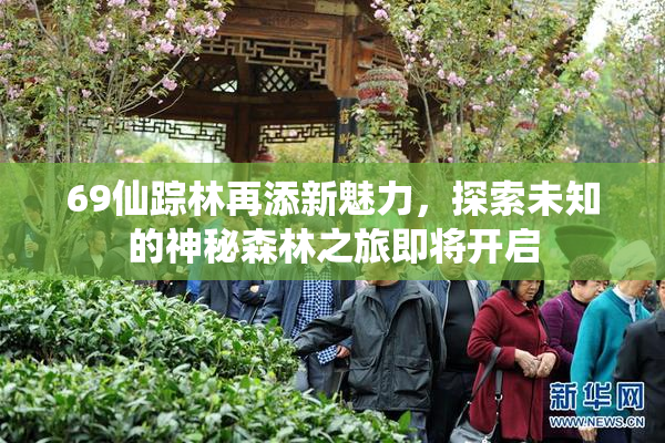 69仙踪林再添新魅力，探索未知的神秘森林之旅即将开启