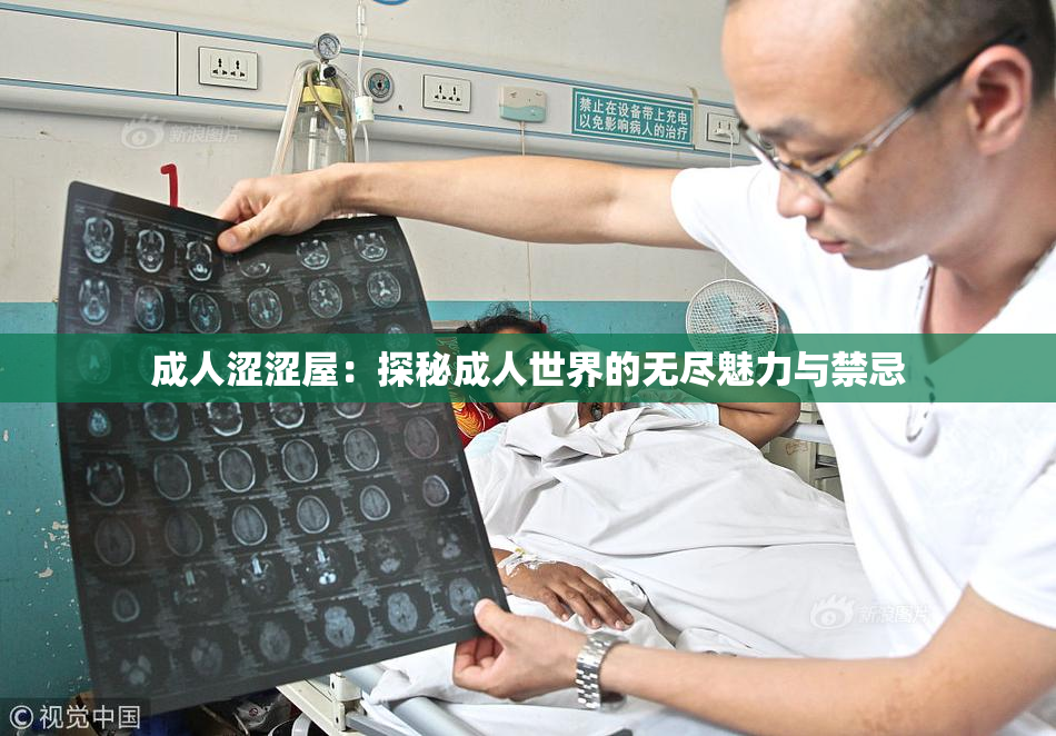 成人涩涩屋：探秘成人世界的无尽魅力与禁忌