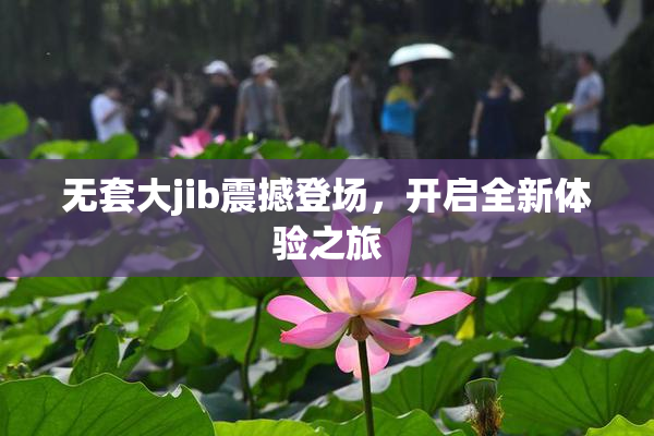 无套大jib震撼登场，开启全新体验之旅