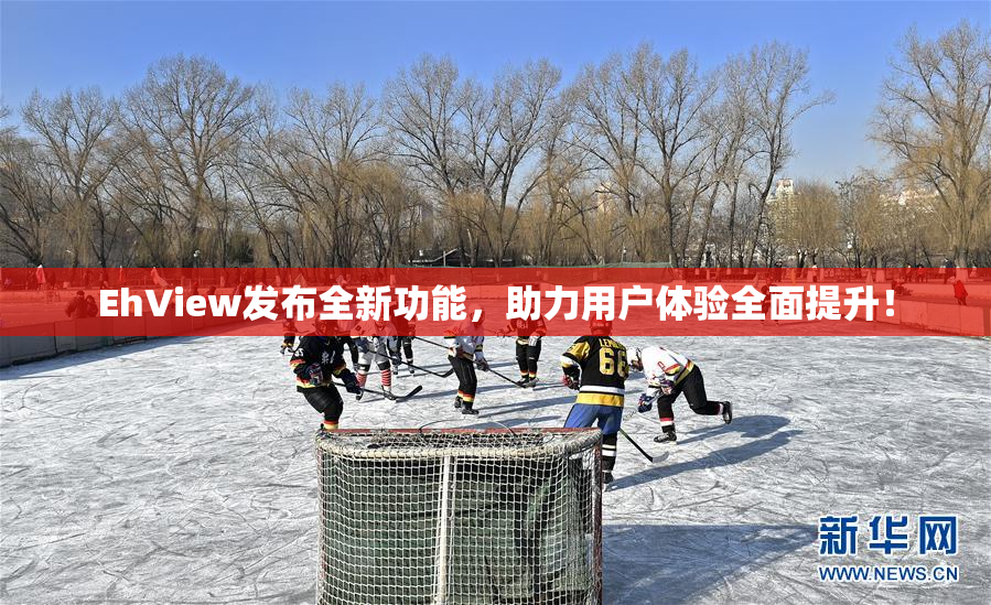 EhView发布全新功能，助力用户体验全面提升！