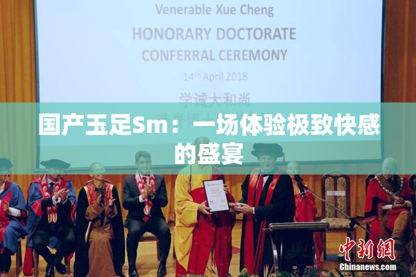 国产玉足Sm：一场体验极致快感的盛宴