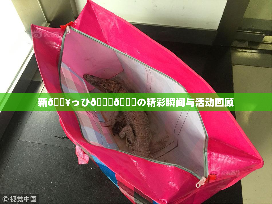 新🔥っひ🍑🍑の精彩瞬间与活动回顾