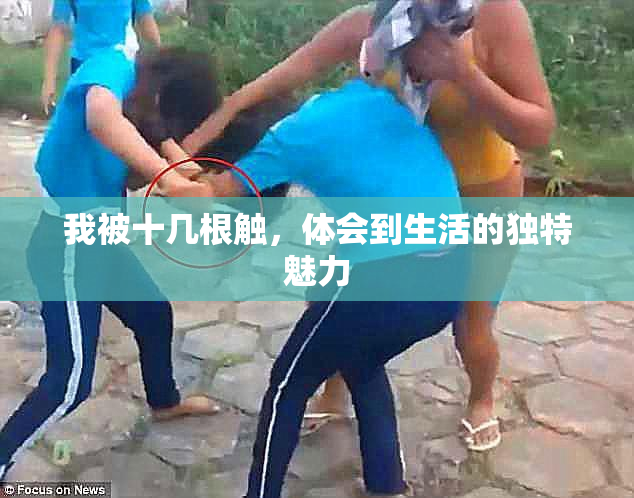 我被十几根触，体会到生活的独特魅力
