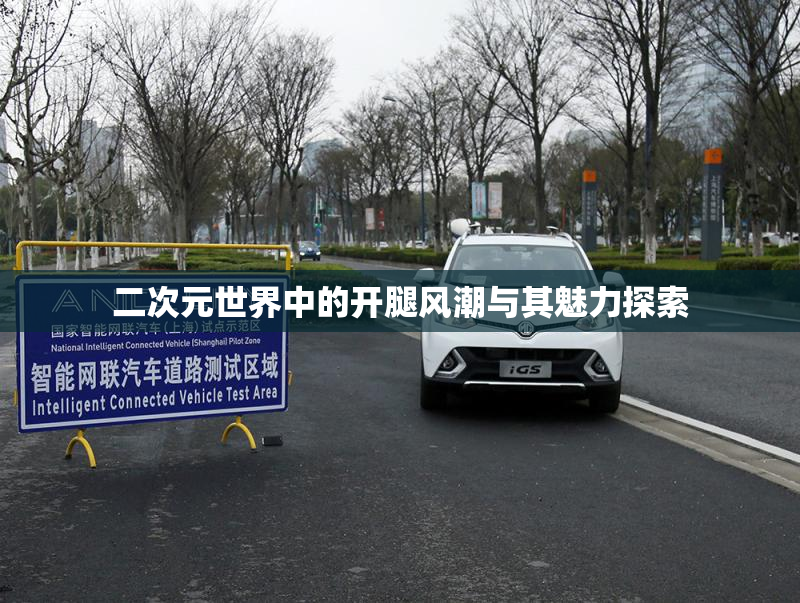 二次元世界中的开腿风潮与其魅力探索
