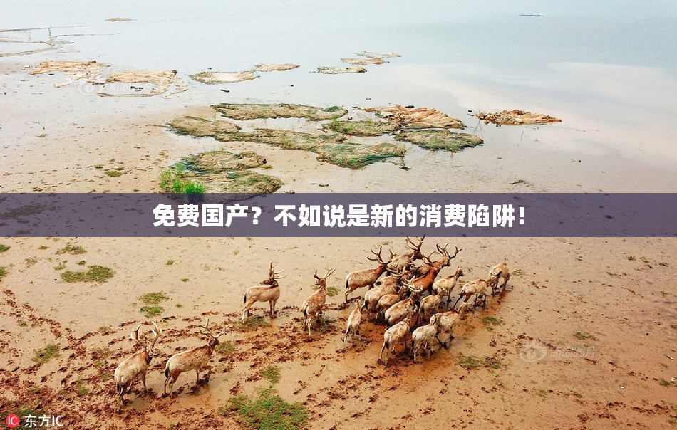 免费国产？不如说是新的消费陷阱！