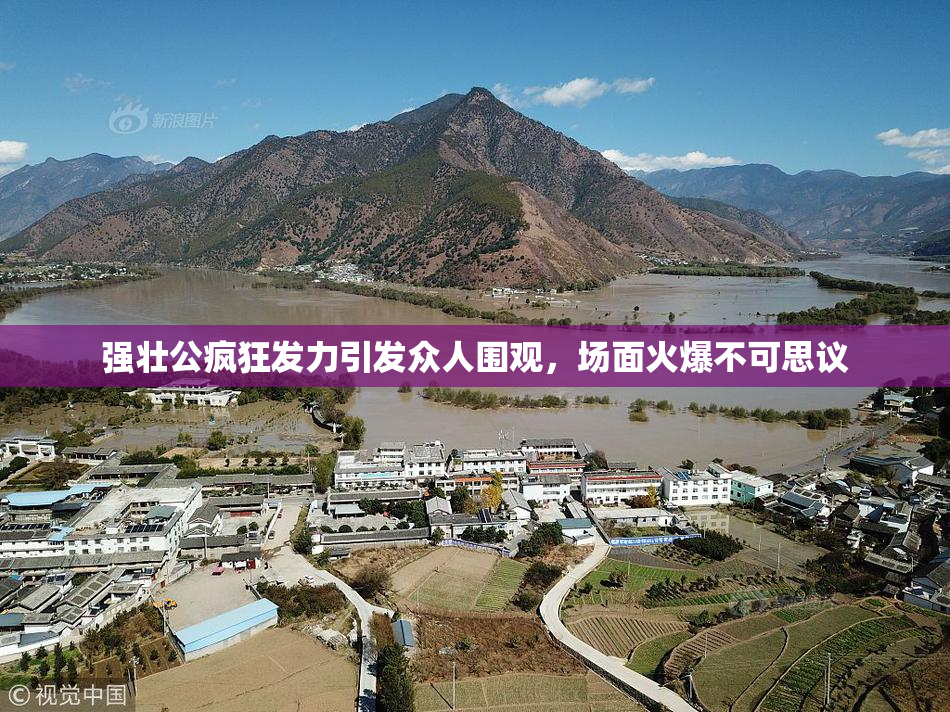 强壮公疯狂发力引发众人围观，场面火爆不可思议