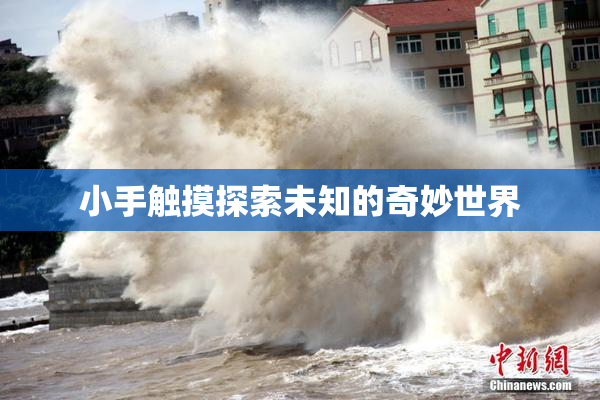 小手触摸探索未知的奇妙世界