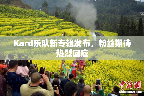 Kard乐队新专辑发布，粉丝期待热烈回应