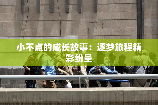 小不点的成长故事：逐梦旅程精彩纷呈