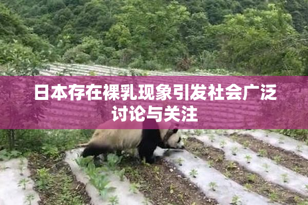日本存在裸乳现象引发社会广泛讨论与关注