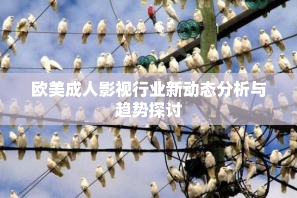 欧美成人影视行业新动态分析与趋势探讨