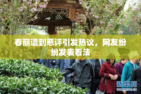 春丽遭到恶评引发热议，网友纷纷发表看法