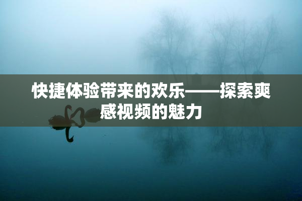 快捷体验带来的欢乐——探索爽感视频的魅力