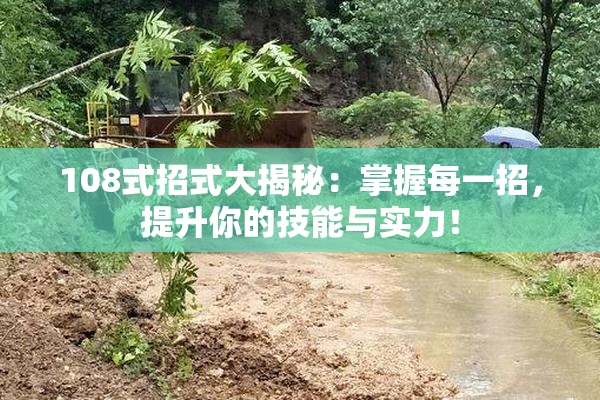 108式招式大揭秘：掌握每一招，提升你的技能与实力！