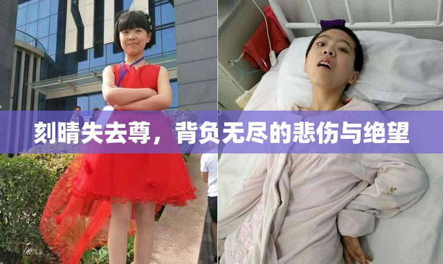 刻晴失去尊，背负无尽的悲伤与绝望
