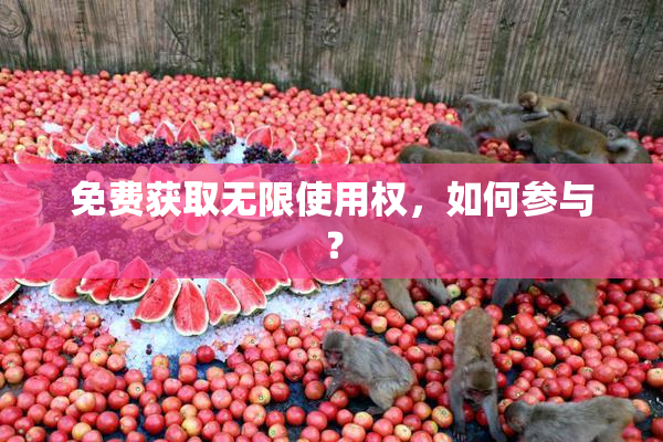 免费获取无限使用权，如何参与？