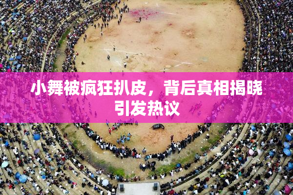 小舞被疯狂扒皮，背后真相揭晓引发热议