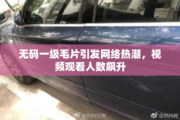 无码一级毛片引发网络热潮，视频观看人数飙升