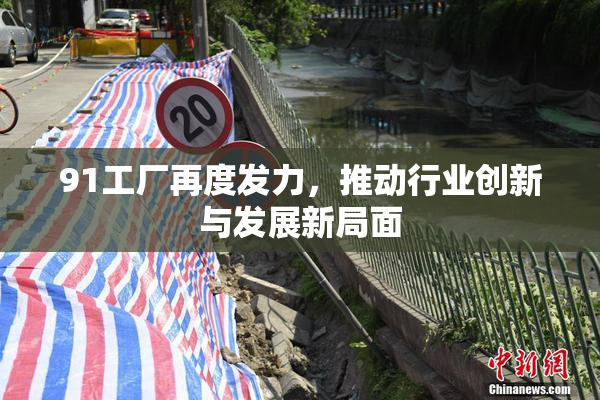 91工厂再度发力，推动行业创新与发展新局面