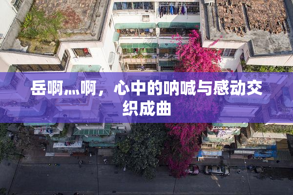 岳啊灬啊，心中的呐喊与感动交织成曲