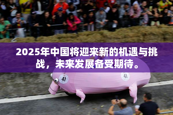 2025年中国将迎来新的机遇与挑战，未来发展备受期待。