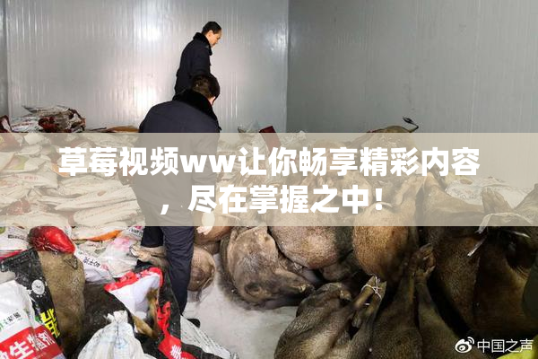 草莓视频ww让你畅享精彩内容，尽在掌握之中！