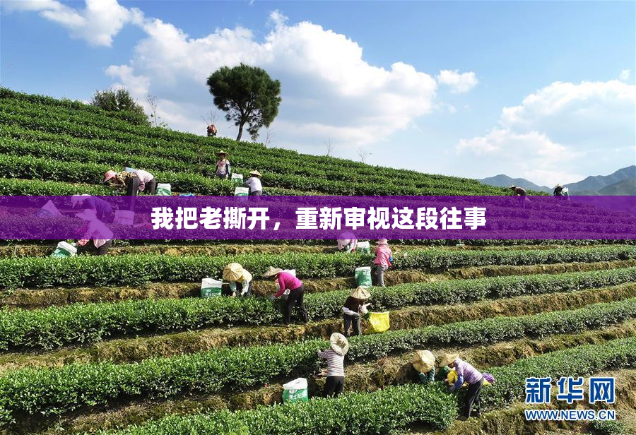 我把老撕开，重新审视这段往事