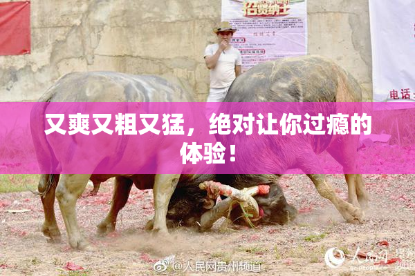 又爽又粗又猛，绝对让你过瘾的体验！