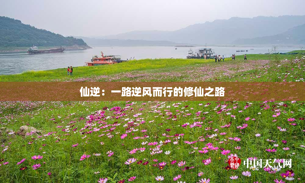 仙逆：一路逆风而行的修仙之路