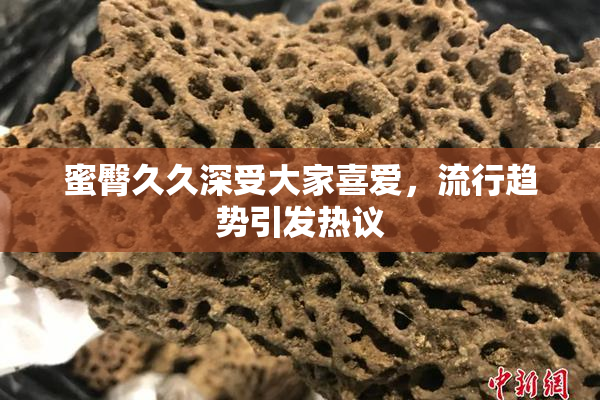 蜜臀久久深受大家喜爱，流行趋势引发热议