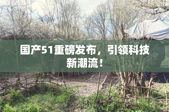 国产51重磅发布，引领科技新潮流！