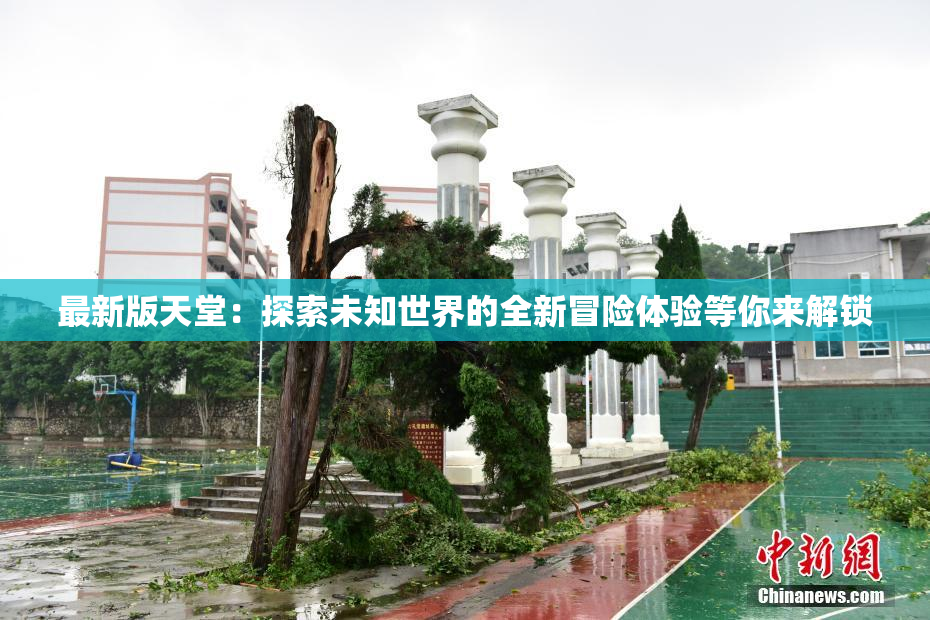 最新版天堂：探索未知世界的全新冒险体验等你来解锁