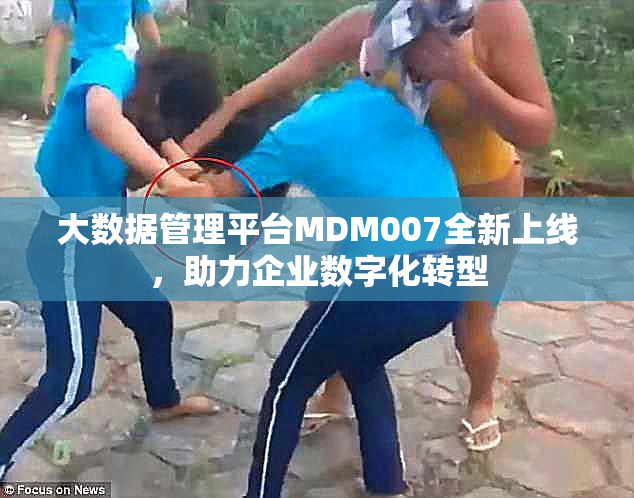 大数据管理平台MDM007全新上线，助力企业数字化转型