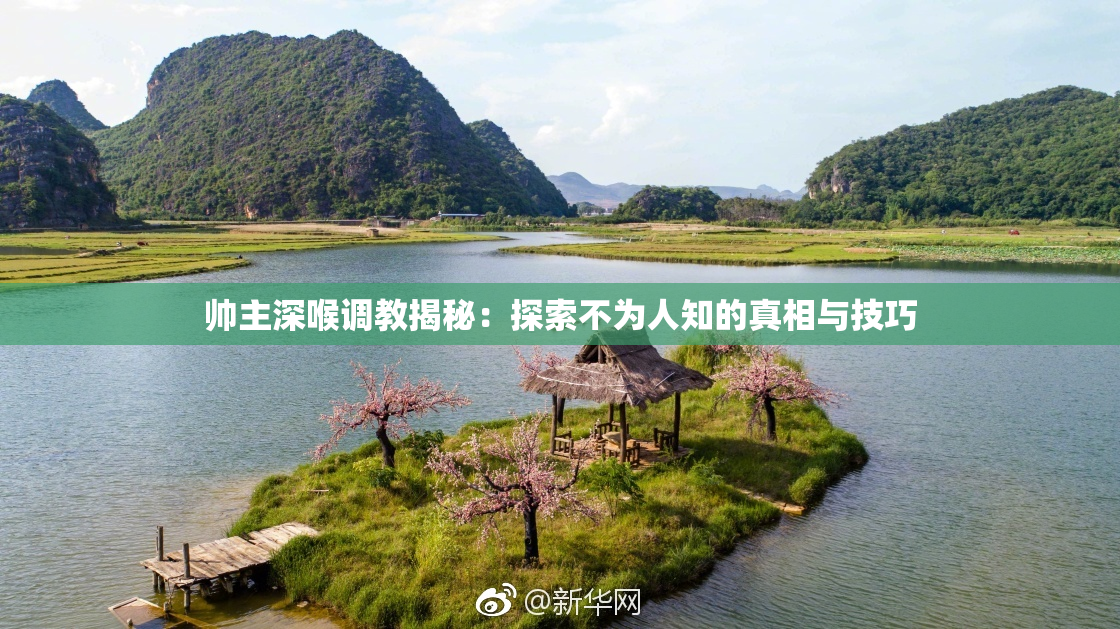 帅主深喉调教揭秘：探索不为人知的真相与技巧