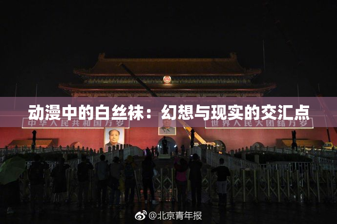 动漫中的白丝袜：幻想与现实的交汇点