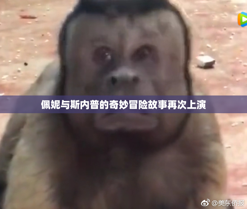 佩妮与斯内普的奇妙冒险故事再次上演