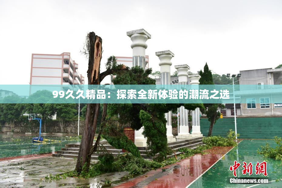 99久久精品：探索全新体验的潮流之选
