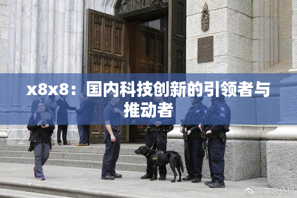 x8x8：国内科技创新的引领者与推动者