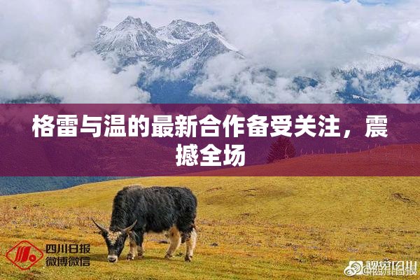 格雷与温的最新合作备受关注，震撼全场