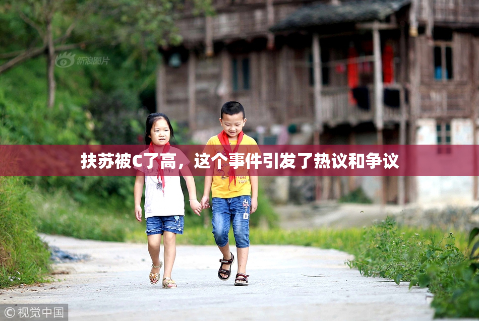 扶苏被C了高，这个事件引发了热议和争议