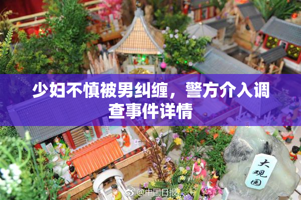 少妇不慎被男纠缠，警方介入调查事件详情