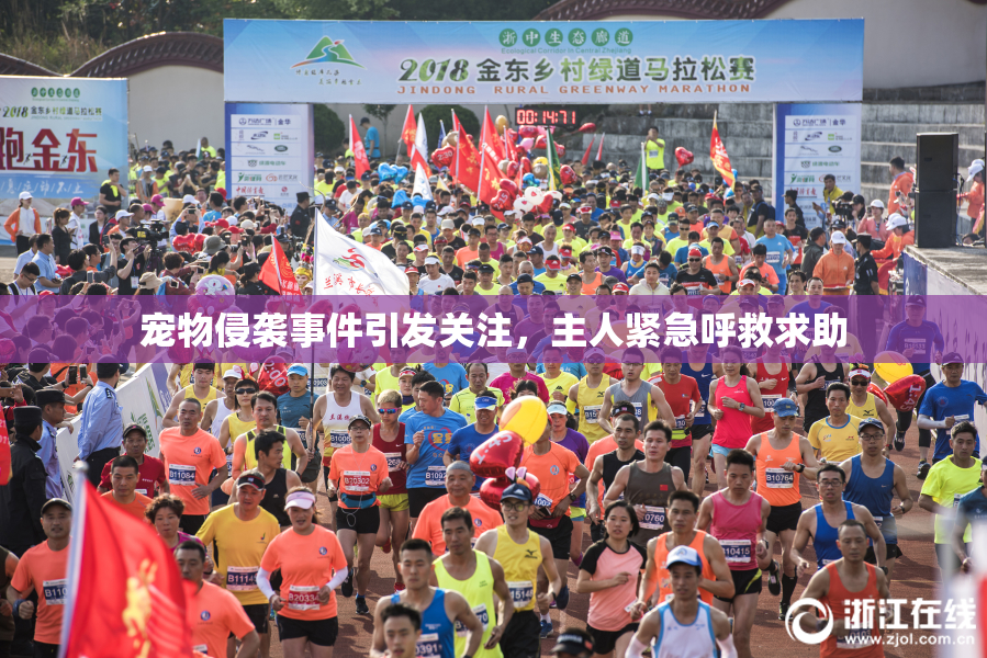 宠物侵袭事件引发关注，主人紧急呼救求助