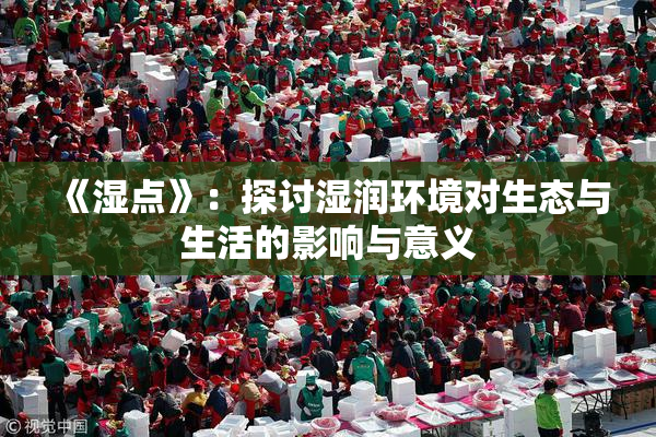 《湿点》：探讨湿润环境对生态与生活的影响与意义