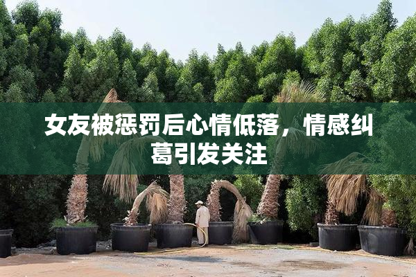 女友被惩罚后心情低落，情感纠葛引发关注