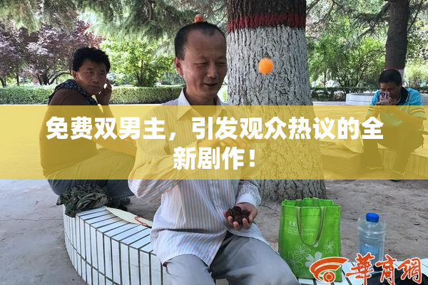 免费双男主，引发观众热议的全新剧作！