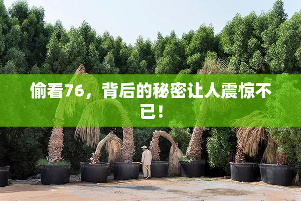 偷看76，背后的秘密让人震惊不已！