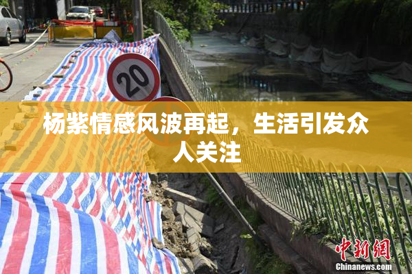 杨紫情感风波再起，生活引发众人关注