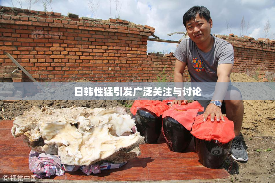日韩性猛引发广泛关注与讨论