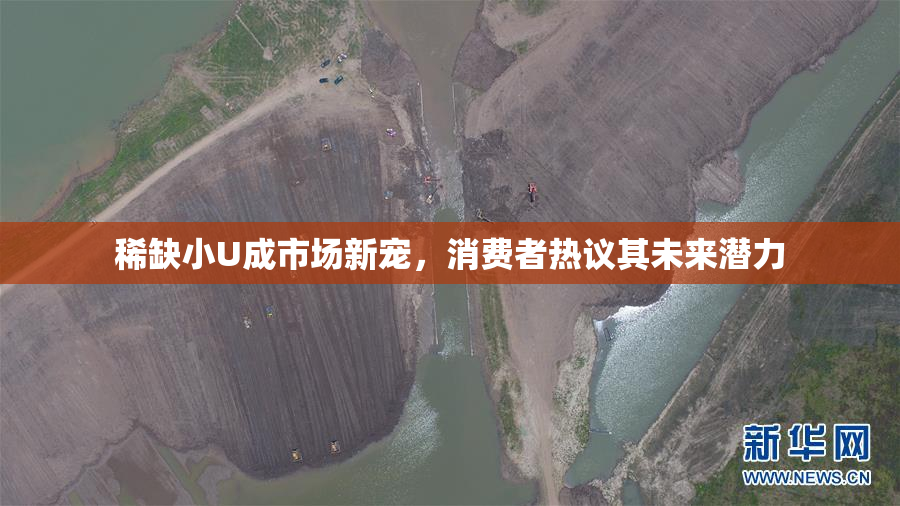 稀缺小U成市场新宠，消费者热议其未来潜力