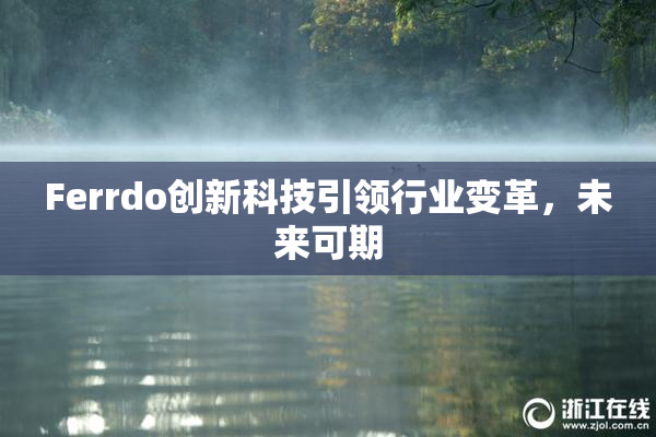Ferrdo创新科技引领行业变革，未来可期